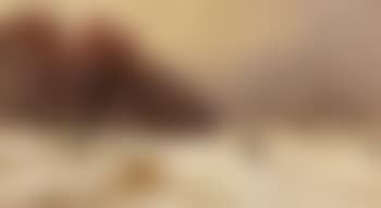 Winterlandschaft mit heimkehrenden Bauern (preview)