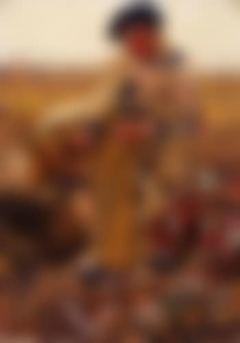 Bauernjunge auf dem Feld (preview)