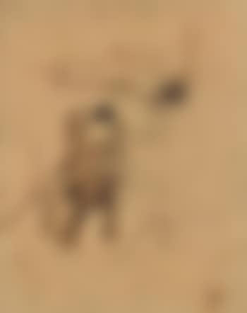 La promenade (preview)