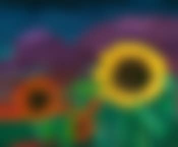 Sonnenblumen im abendlicht (preview)