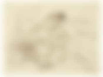 Mord (preview)