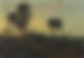 Tropenabend (preview)