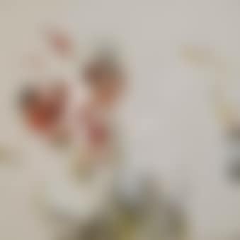 Removable Party (preview)