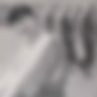 Series 1, No. 1 (preview)