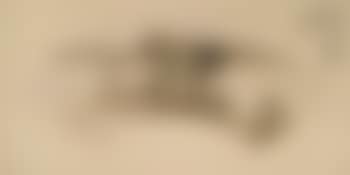 Landscapes (preview)
