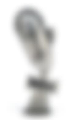 A male head (preview)