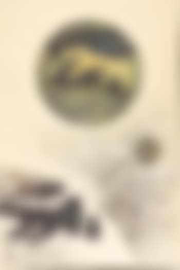 Which is Earth? (preview)