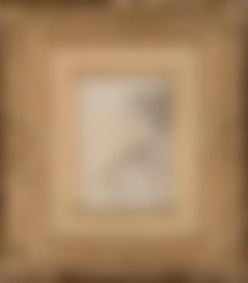 La mère de l'artiste, ou La paresse (preview)