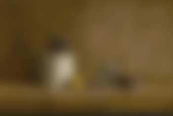 Still life with grapes, a lemon, a ceramic jug and a book (preview)