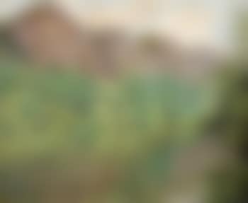 Paysage (preview)