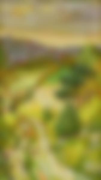 Landscape at sunset (preview)