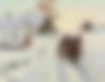 Horse And Sleigh - Winter Road (preview)