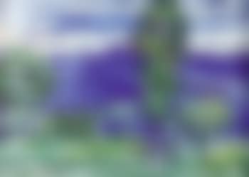 Blue landscape (preview)