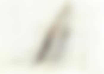 Stufenpyramide, Nebel (preview)
