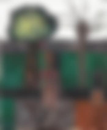 Il giardino incantato (preview)