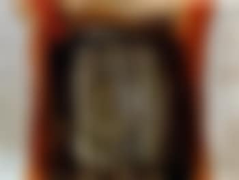Baumleben (preview)