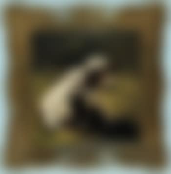 Rückansicht eines schwarzweißen Rindes, welches auf der Weide ruht (preview)