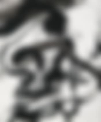 Portrait (preview)