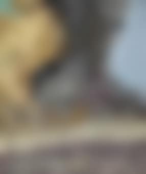 Fire in the bush at Yalinga (preview)