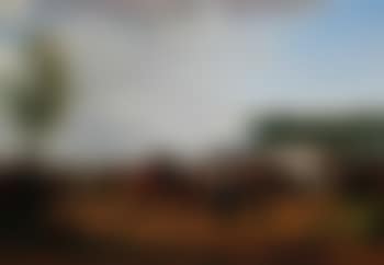 The horse fair (preview)