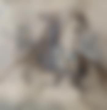 Cavalier Des Guides (preview)