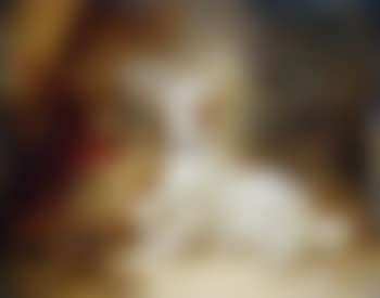 An unwelcome visitor (preview)