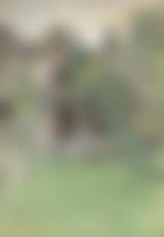 Déjeuner sur l'herbe (preview)