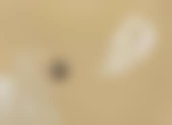 Untitled (preview)