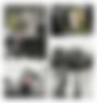 Untitled - a set of twenty hand-coloured photographs (preview)