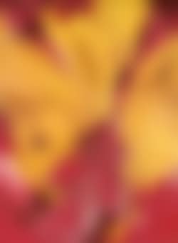 My Autumn (preview)