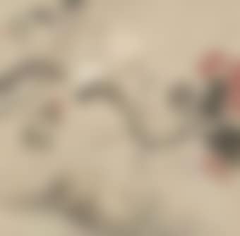 Flowers and Birds (preview)
