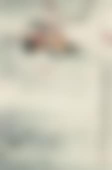 Mandarin Duck (preview)
