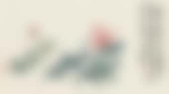 Peonies (preview)