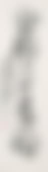 Calligraphic Couplet (preview)