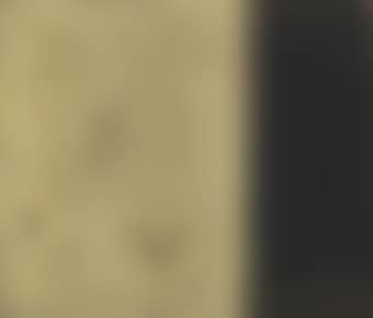 Question to the White (preview)