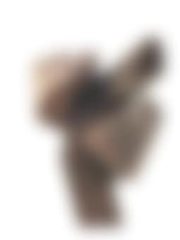 Taichi Series - Golden Rooster Standing (preview)