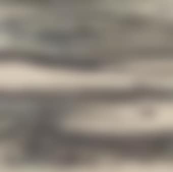 Landscape (preview)