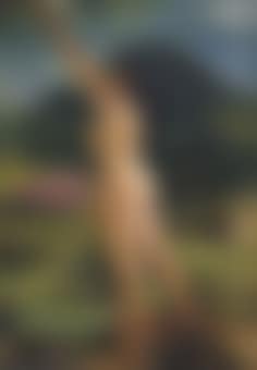 Di Alam Bebas (preview)