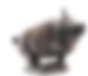 Homeland Series - Boar (preview)