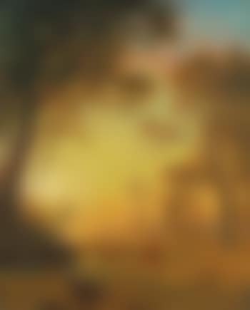 Light In The Forest (preview)
