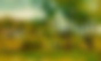 Cottage in the Woods (preview)