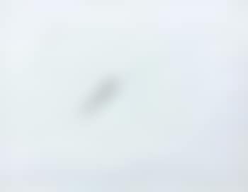 Concetto spaziale (preview)