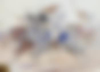 The cavalry charge (preview)