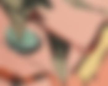 Et la narine d’Amin... No 2 (preview)