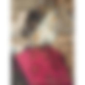 Retrato De Guiliano De Medici (preview)