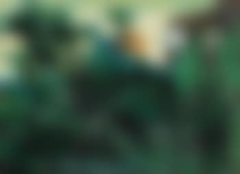 La Nature À L'aurore (preview)