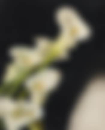 Arums (Étude) (preview)