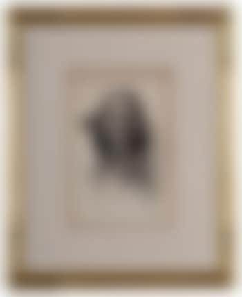 Crow warrior (preview)