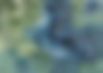 Galloping Horses (preview)