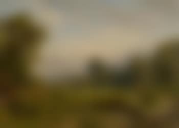 Wooded landscape with sheep (preview)
